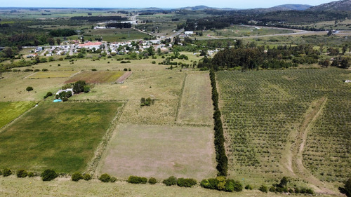 Imagen 8 de 20 de Chacras Financiadas En Pan De Azúcar. Terra Oliva