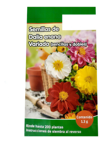 Semillas De Dalia Enana Variada  Sencillas Y Dobles 