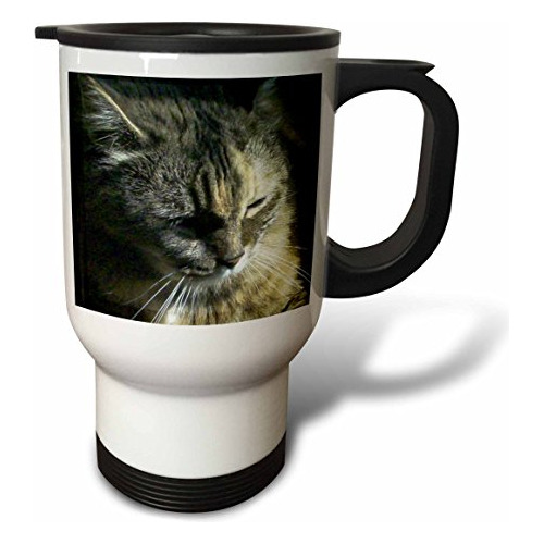 Vaso - Gorgeous Maine Coon Cat Lazing In The Sun Travel Mug,