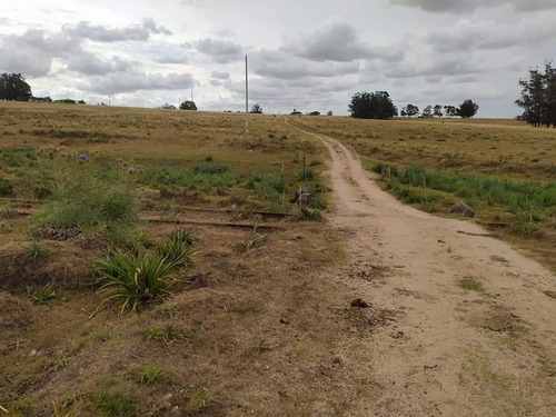 Chacra De 7 Has 2135 M2 Puntas De José Ignacio