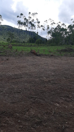 Imagem 23 de 28 de G30- Terrenos Em Igaratá Com Um Preço Acessível