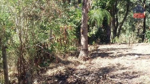 Imagem 4 de 15 de Terreno À Venda, 1605 M² Por R$ 120.000,00 - Recanto Do Lago - Mairiporã/sp - Te0228