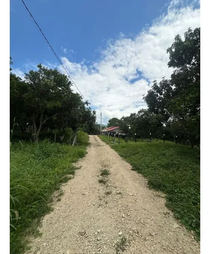 Lote En La Mesa Vereda El Palmar