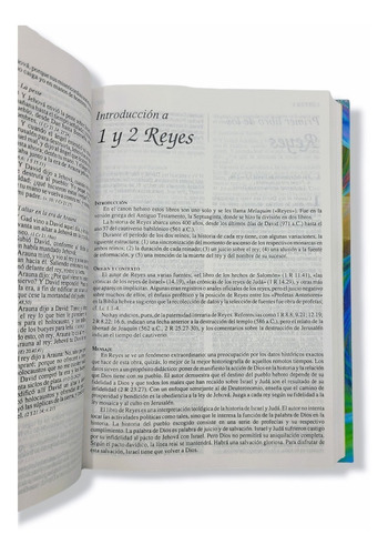 Imagen 5 de 9 de Biblia Juvenil De Estudio Rvr1960 Tapa Dura