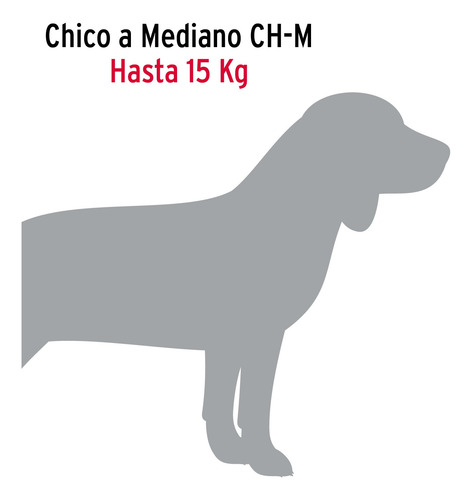 Correa De Paseo P/ Perro Ch - Med Hasta 15 Kg Eslabón 3 Mm