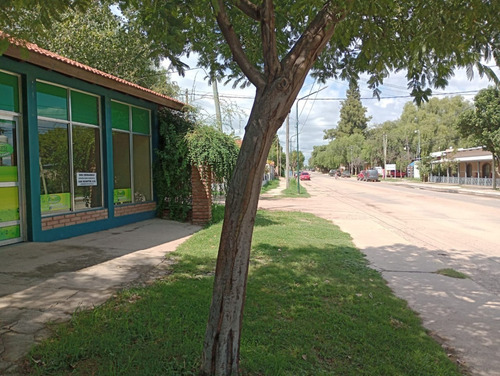 Imagen 4 de 10 de Amplio Local Comercial Sobre Av. Belgrano |carpintería|