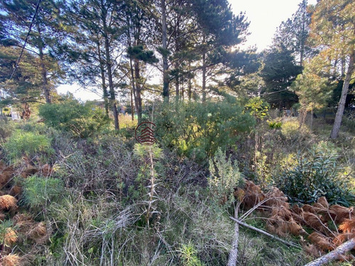 Imagen 4 de 4 de Terreno En Jardines De Córdoba Punta Del Este - Punta Del Este Jardines De Cordoba