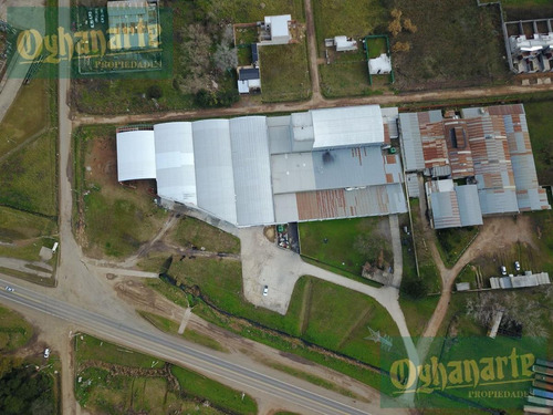 Imagen 3 de 13 de Venta De Importante Nave Industrial 3 En Lujan Sobre Ruta 5