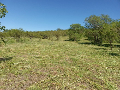 Imagen 6 de 7 de Venta De Terreno Localidad De Unquillo Mendiolaza