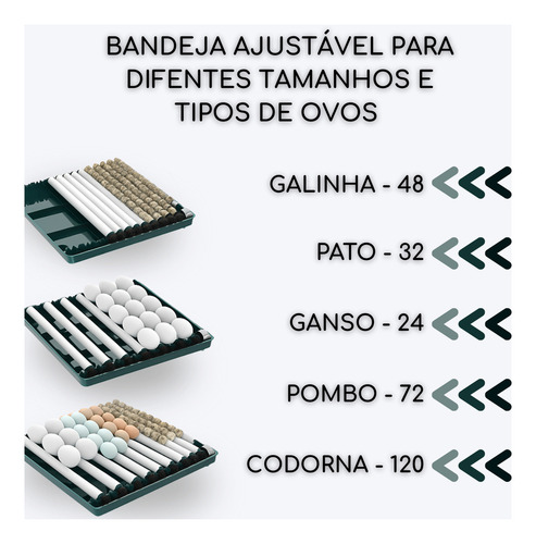 Chocadeira Para Ovos Incubadora Automática Ovoscópio 48 Ovos