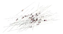 Comprar Estados Unidos Bolsa 100pcs Bzx55c24 24v 1\u002F2w 0.5w-35 Diodos
