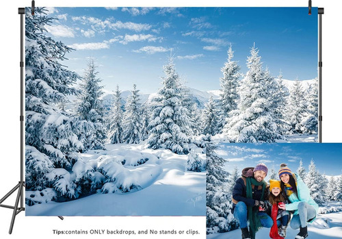 Telón De Fondo Nevado De 10 X 8 Pies Para Fotografía, Escena