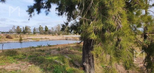 Imagen 8 de 24 de Venta - Terreno - Lote - Barrio Cerrado Laguna Grande - Villanueva - Tigre