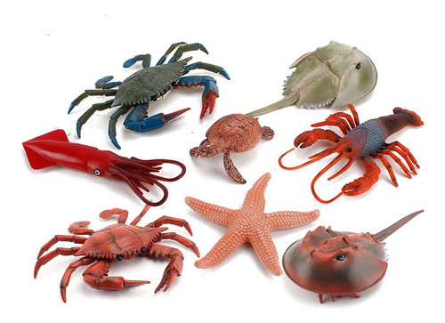 Colección De Regalos De Cumpleaños De Marine Life Animal