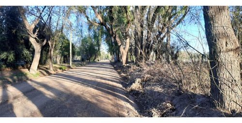 Venta Terreno / Lote San Rafael