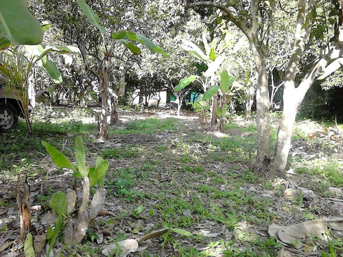 Venta Finca Terreno 5000 M² En Juana Moza Tuxpan Veracruz