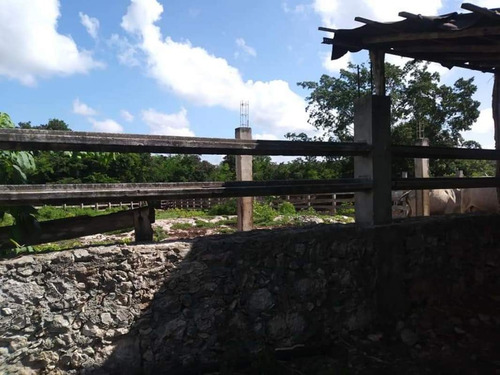 Imagen 4 de 15 de Rancho En Venta En Tunkas Yucatan