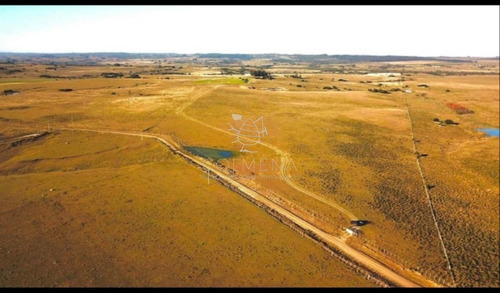 Imagen 9 de 29 de Campo En Jose Ignacio - Jose Ignacio
