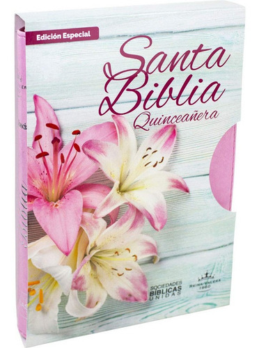 Imagen 1 de 2 de Rv60 Biblia Mis Xv Quince Años Rosa Fuente De - Quinceañera