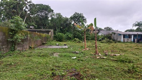 Imagem 3 de 10 de Terrenos Na Praia À Venda Em Itanhaem/sp - Compre O Seu Terrenos Na Praia Aqui! - 1495183