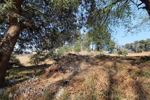 Terreno Residencial En Venta En San Miguel Ameyalco