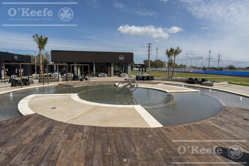 Lote En Venta En Puerto Nizuc - Oportunidad De Inversión En Guillermo Hudson