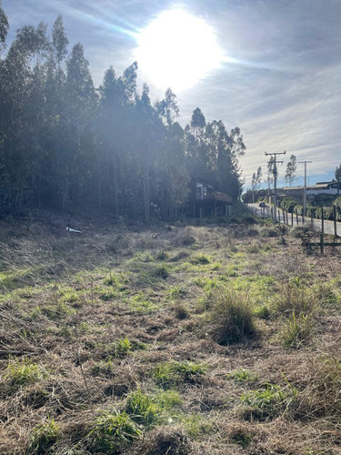 Tres Sitios Urbanos Camino Dolores Jeria Navidad A Matanzas