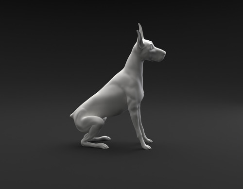 Imagen 3 de 4 de Doberman Pinscher Sentado E Inclinando L- Figura Plastica