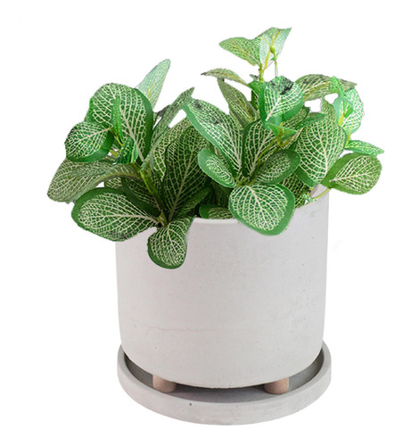 Maceta Con Patas Macetas Con Patas Para Plantas Macetero De