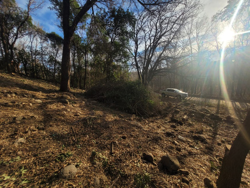 Terreno En Venta En Nono