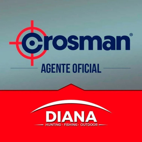 Imagen 5 de 8 de Rifle Aire Crosman 1077 A Gas Co2 Semiautomatico 4.5mm