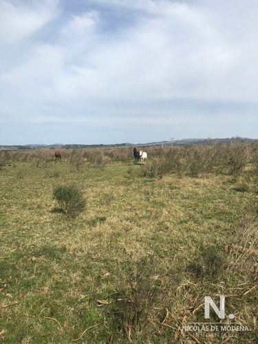 Campo En Abra Del Perdomo, Maldonado