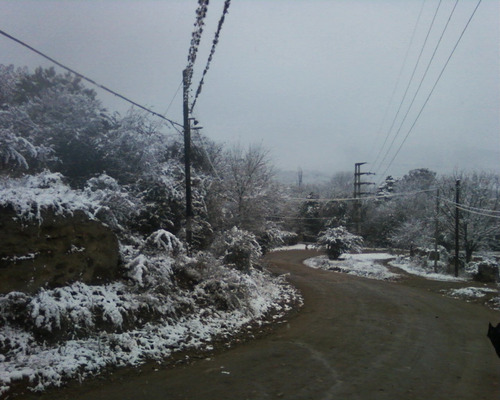 Imagen 4 de 30 de Chalet En Venta