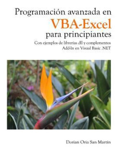 Programacion Avanzada En Vba-excel Para Principiantes / Dori