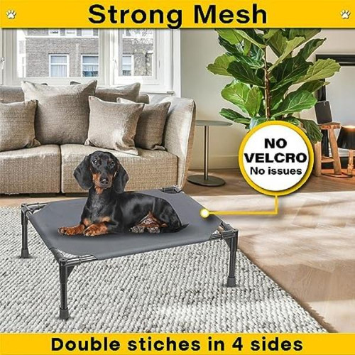 Cama Elevada Para Perros Cama Elevada Para Perros Cama Para