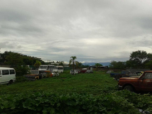 Imagen 5 de 7 de Oportunidad Terreno Comercial En Morelos Zona Sur