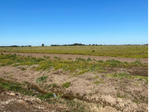 Campo 25 Hectáreas Agrícolas/industrial En Timbúes
