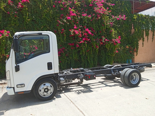 Isuzu Elf 300 2020 Chasis Largo 3.5 Toneladas