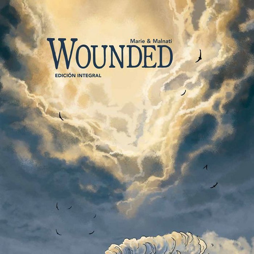 Wounded, De Loïc Malnati Y Damien Marie. Editorial Harriet Ediciones, S.l., Tapa Dura En Español