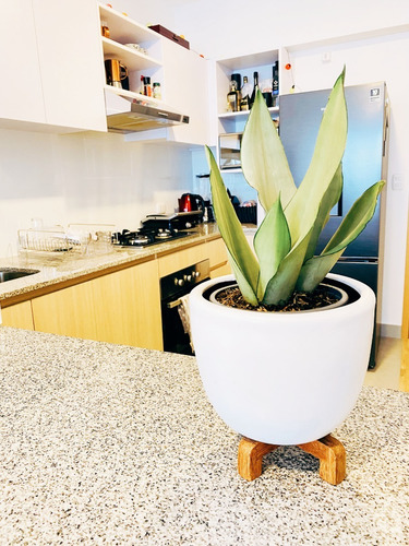 Imagen 4 de 7 de Parante De Madera Para Macetas Y Plantas Chico