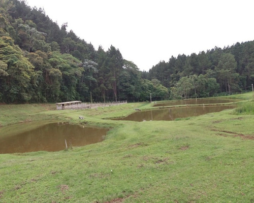 Imagem 11 de 30 de Fazenda Bem Localizada À Venda Em Juquitiba. - 15 - 32982853