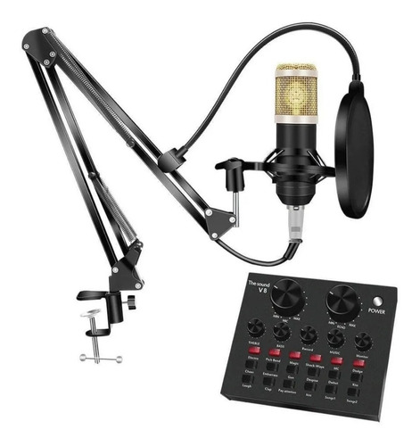 Microfono C/ Brazo Estudio Condensador Podcast + Ecualizador