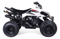 Comprar Cuatriciclo Yumbo 4track 125 Blanco S\u002Fnuevo. Trailer Con Deu