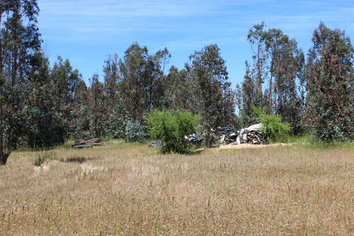 En Venta Terreno Fértil Para Producción Con Casa Construida