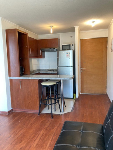 Departamento 1 Dormitorio En Suite Con Gran Terraza
