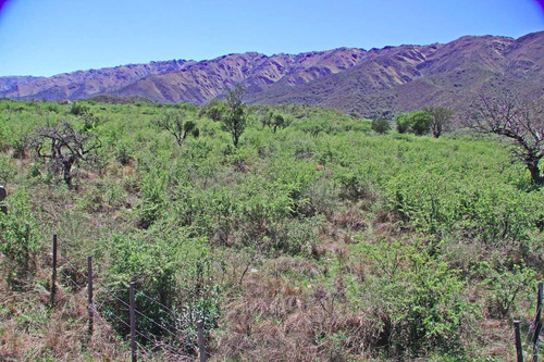 Imagen 6 de 6 de Venta De Gran Lote En Los Molles Sobre Cuesta Del Condor