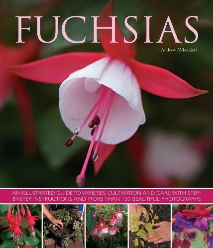 Fuchsias An Illustrated Guide To Varieties, Cultivation And 