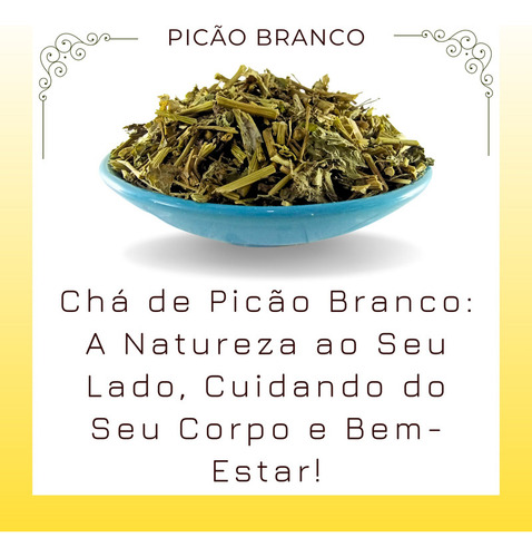 20 Pacotes Picão Branco Chá De Carrapicho | Erva 100% Pura