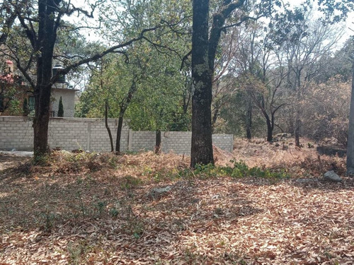 Imagen 2 de 2 de Terreno Urbano En Santa María Ahuacatitlán, Cuernavaca, Morelos