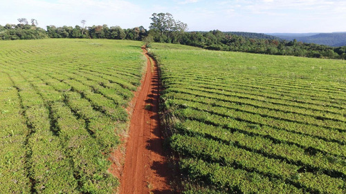 Chacra En Vanta San Vicente Misiones